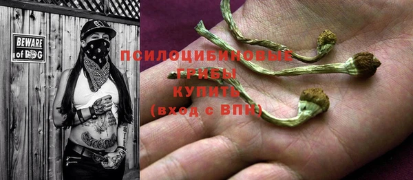 2c-b Балахна