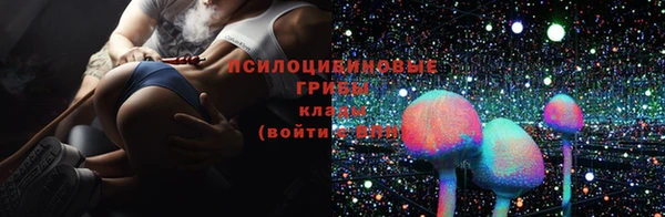 2c-b Балахна