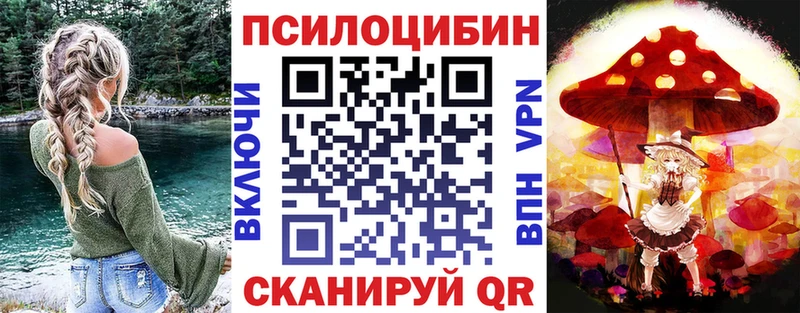 купить   Унеча  Галлюциногенные грибы мицелий 